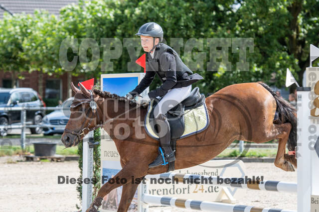 Landesturnier Rheinland, Vielseitigkeit, 22.+23.08.2020