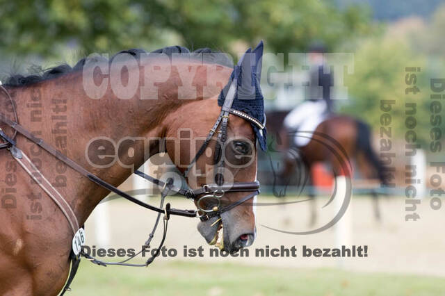 IGV Kleve