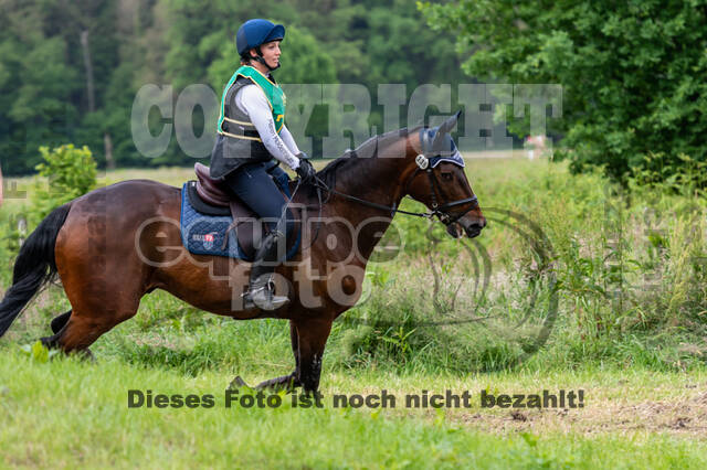 Westerstede Horse Trials (10.-13.06.2021)