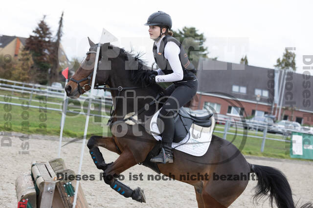IGV Lehrgang der Sieger der Cups mit Frank Ostholt