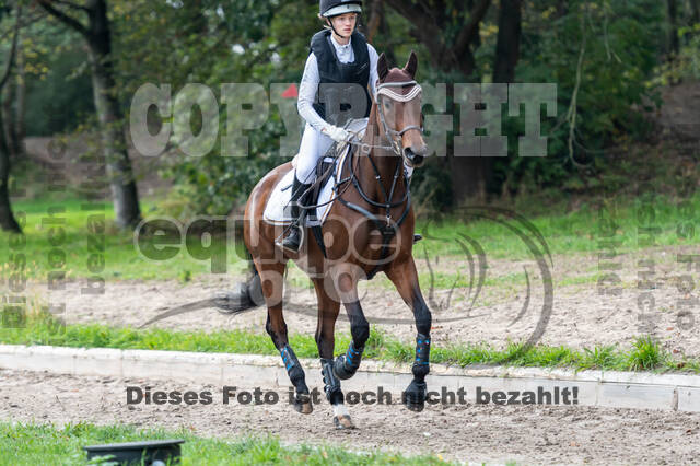 Goldene Schärpe 2020 - Pferde