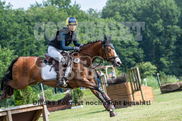 Goldene Schärpe 2021 - Ponys