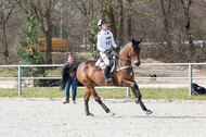 Eventing Langenfeld 2018