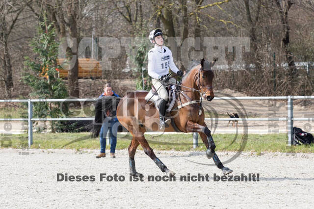 Eventing Langenfeld 2018