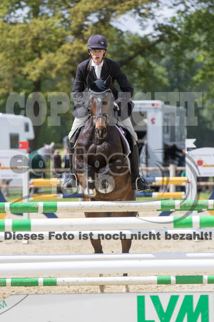 Sterne über Münster 2019 - CCI***S