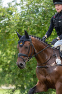 Bonn-Rodderberg Late-Entry-Vielseitigkeit (30.06.2020)