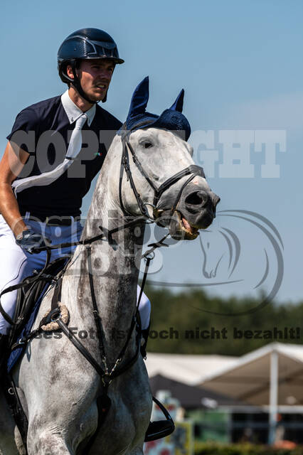 Kronenberg - De Peelbergen (August 2020)