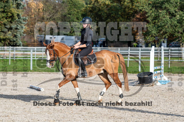 IGV Lehrgang der Sieger der Cups mit Frank Ostholt