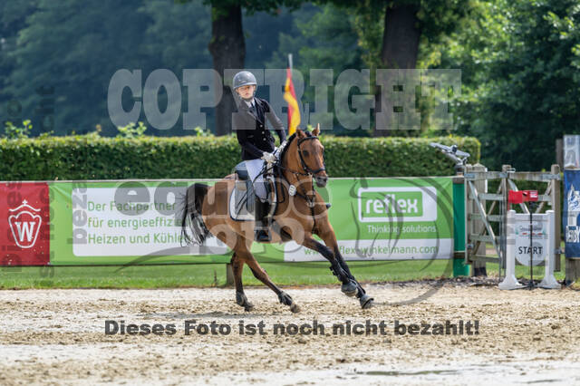 Goldene Schärpe 2021 - Ponys