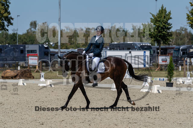 Kronenberg - De Peelbergen (August 2020)