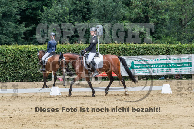 Goldene Schärpe 2021 - Ponys