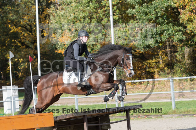 IGV Lehrgang der Sieger der Cups mit Frank Ostholt