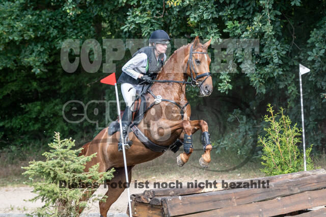 Late-Entry-Vielseitigkeit Langenfeld (11.+13./14.06.2020)