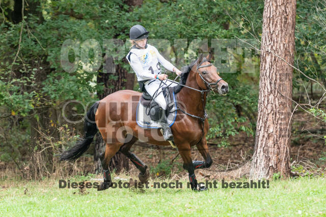 Vielseitigkeit RSV Wesel Obrighoven (26.+27.09.2020)