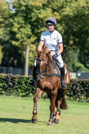 Kronenberg - De Peelbergen (August 2020)