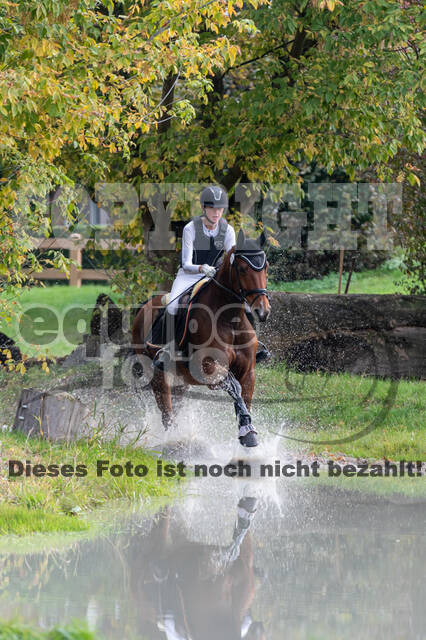 Goldene Schärpe 2020 - Pferde