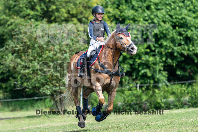 Goldene Schärpe 2021 - Ponys