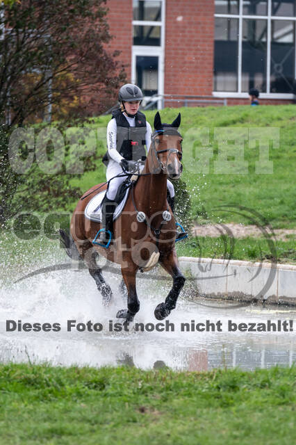 Goldene Schärpe 2020 - Pferde