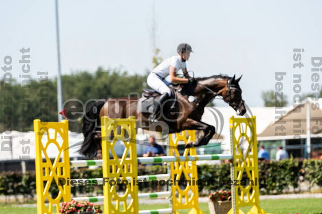 Kronenberg - De Peelbergen (August 2020)