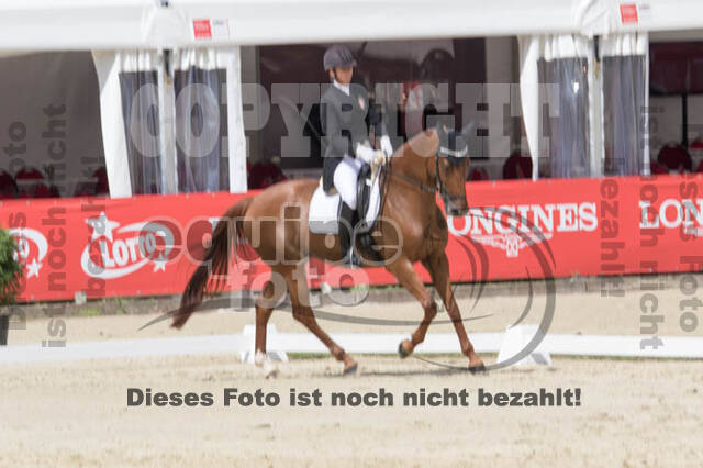 FEI European Championship Eventing 2017