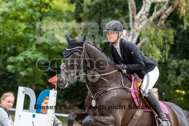 Late-Entry-Vielseitigkeit Langenfeld (06.+07.07.2020)