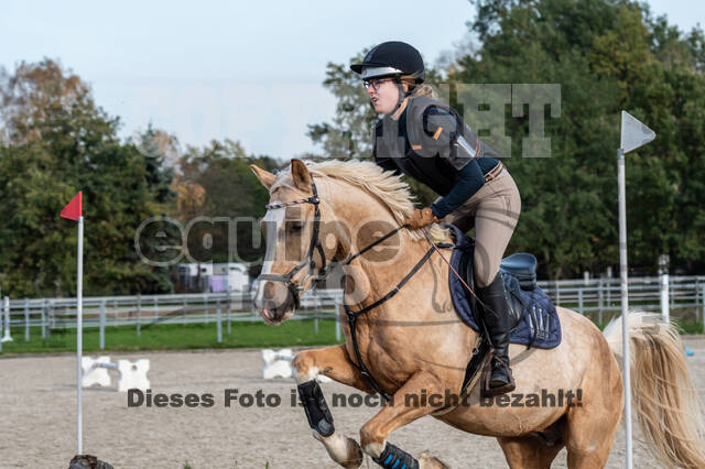 IGV Lehrgang der Sieger der Cups mit Frank Ostholt
