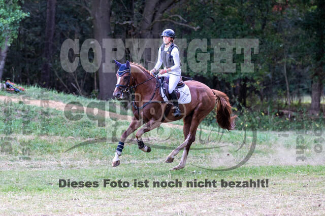 Late-Entry Vielseitigkeit Hamminkeln/Wesel (01.+02.08.2020)