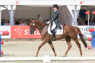 FEI European Championship Eventing 2017
