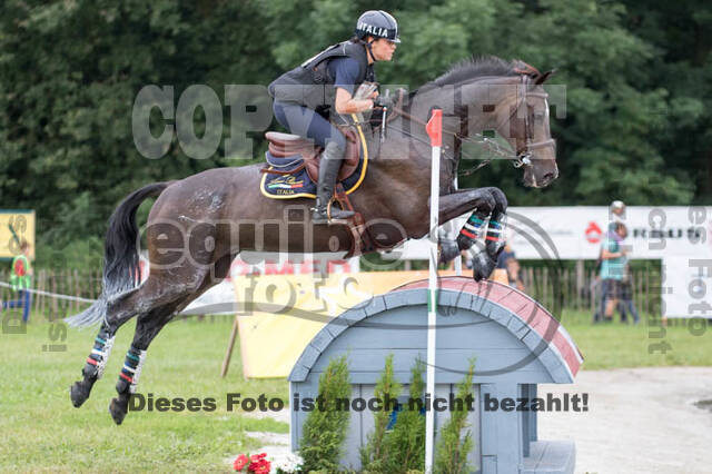 FEI European Championship