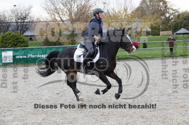 IGV Lehrgang der Sieger der Cups mit Frank Ostholt