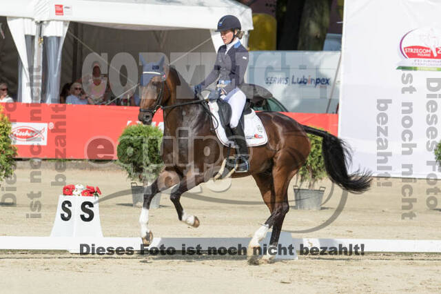 FEI European Championship Eventing 2017