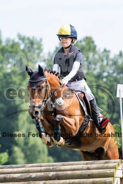 Goldene Schärpe 2021 - Ponys