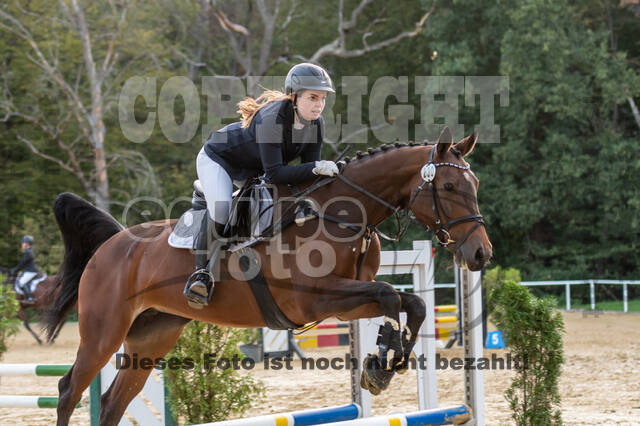 RFV Dinslaken-Hiesfeld (Herbstturnier)
