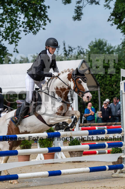 Goldene Schärpe 2021 - Ponys