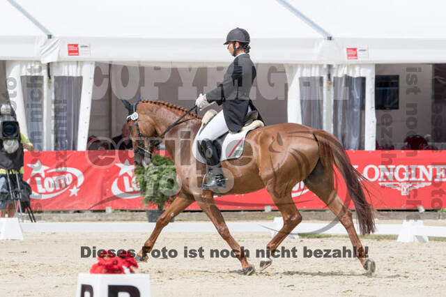 FEI European Championship Eventing 2017