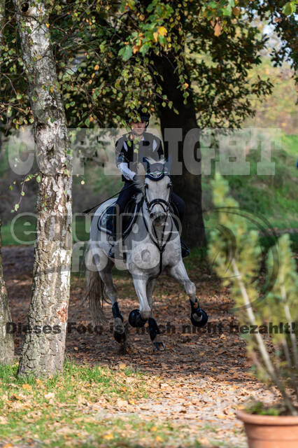 IGV Lehrgang der Sieger der Cups mit Frank Ostholt