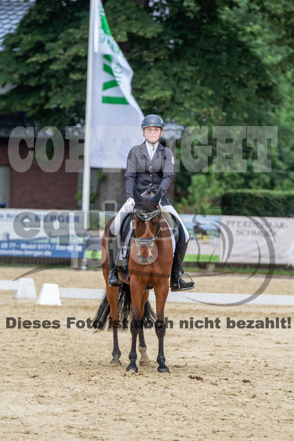 Goldene Schärpe 2021 - Ponys