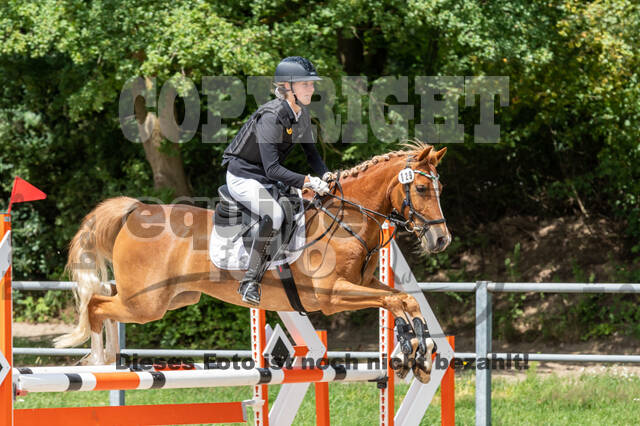 Late-Entry-Vielseitigkeit Langenfeld (06.+07.07.2020)