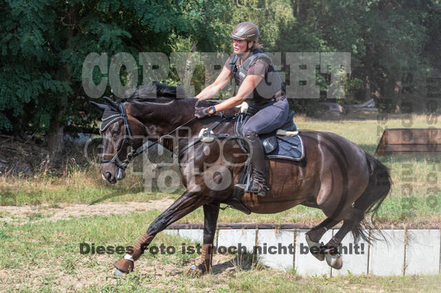 Hunter Geländetraining (16.08.2020)