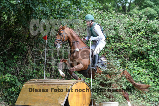 Late-Entry-Vielseitigkeit Langenfeld (11.+13./14.06.2020)