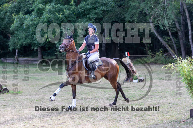 Late-Entry Vielseitigkeit Hamminkeln/Wesel (01.+02.08.2020)