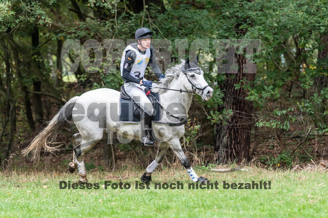 Vielseitigkeit RSV Wesel Obrighoven (26.+27.09.2020)