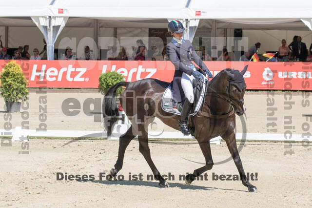 FEI European Championship