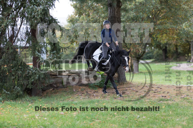 IGV Lehrgang der Sieger der Cups mit Frank Ostholt