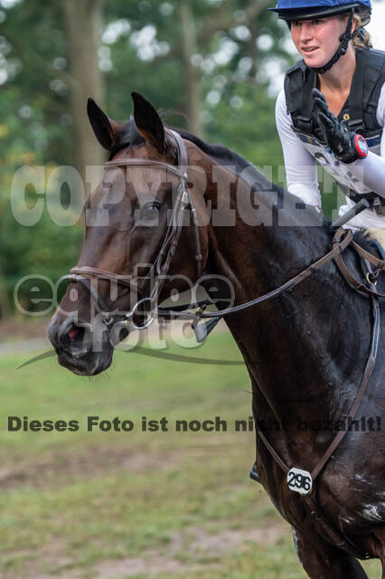 De Peelbergen (August 2020)
