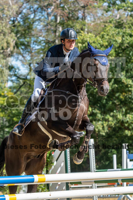 RFV Dinslaken-Hiesfeld (Herbstturnier)