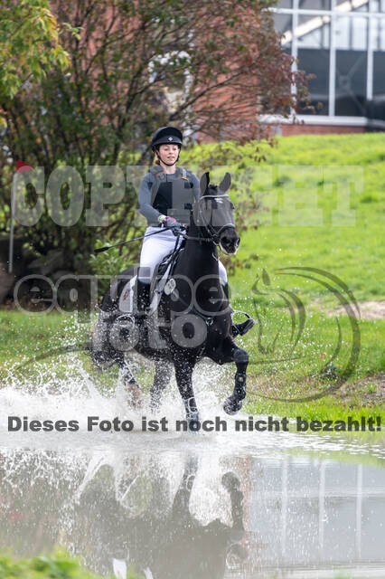 Reiter Schleswig-Holstein