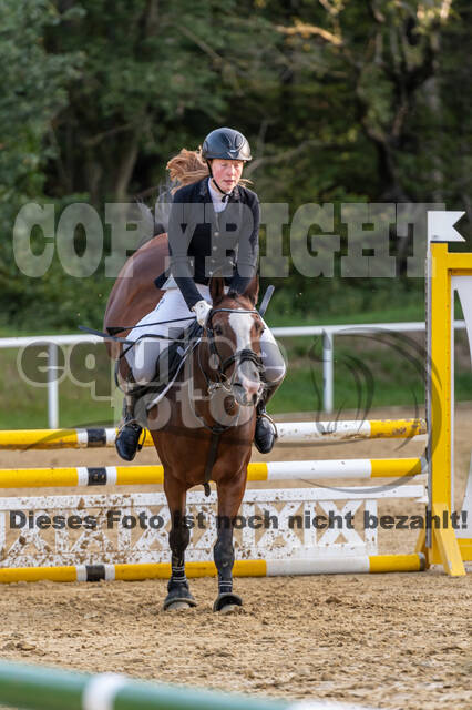 RFV Dinslaken-Hiesfeld (Herbstturnier)