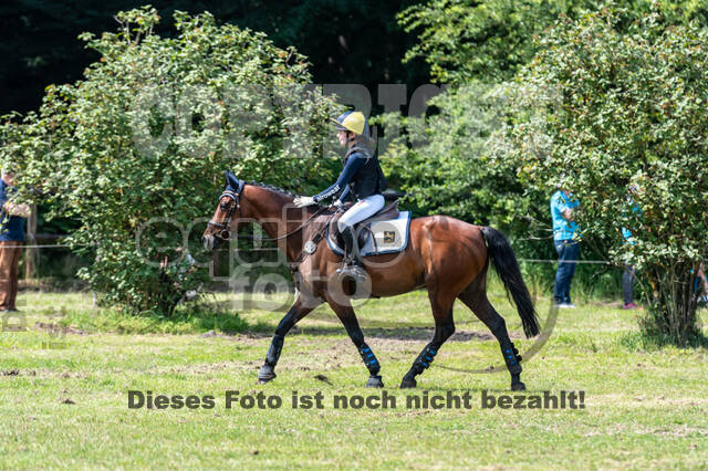 Goldene Schärpe 2021 - Ponys