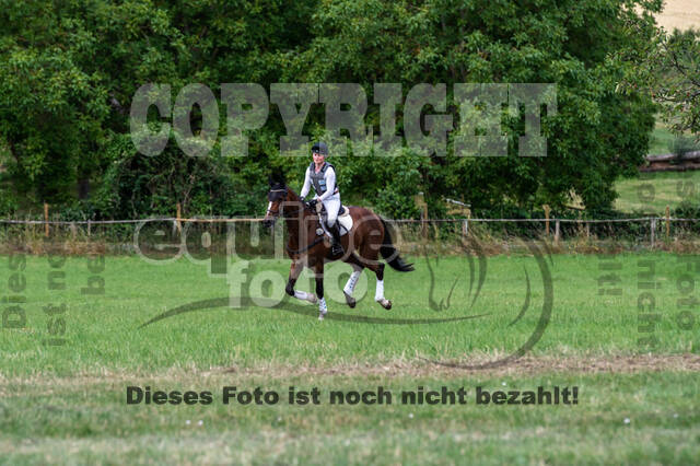 Bonn-Rodderberg Late-Entry-Vielseitigkeit (30.06.2020)